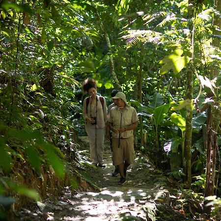 Pumarinri Amazon Lodge Tarapoto Exterior photo