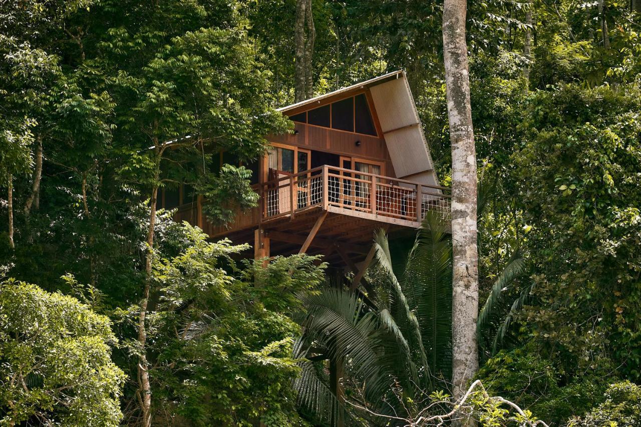 Pumarinri Amazon Lodge Tarapoto Exterior photo