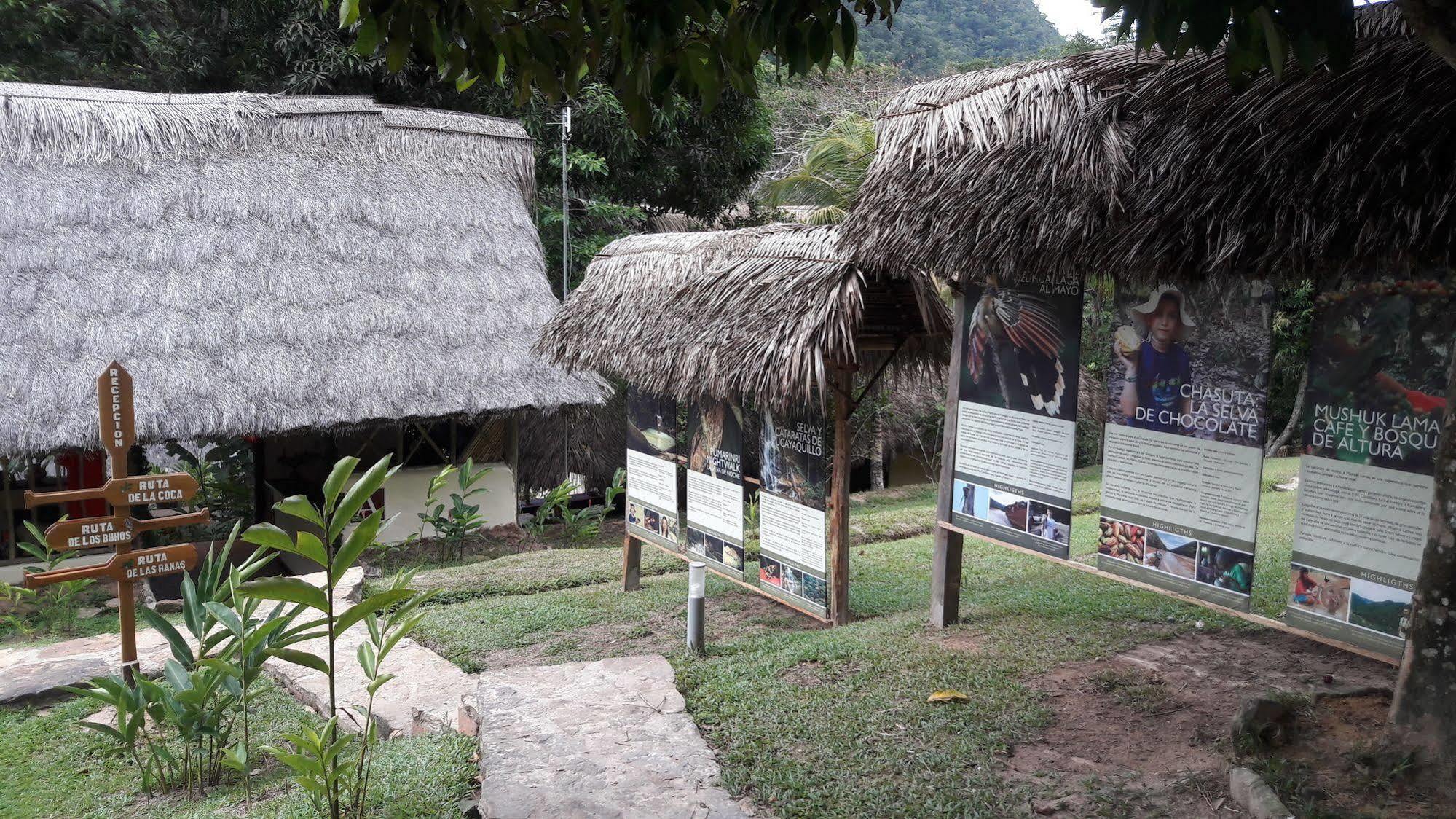 Pumarinri Amazon Lodge Tarapoto Exterior photo